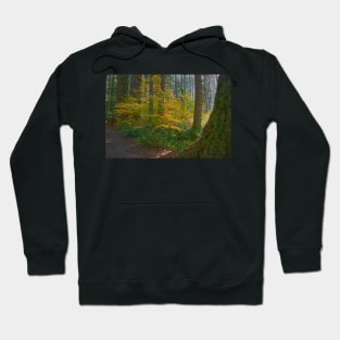 850_2714 Hoodie